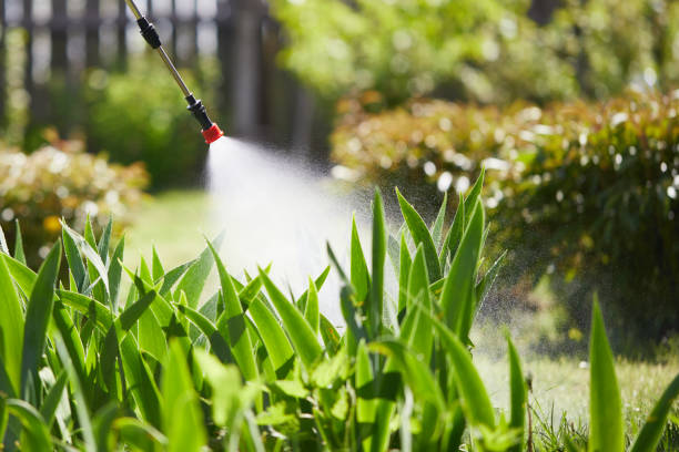 24/7 Emergency Termite Control experts in Carnegie, PA