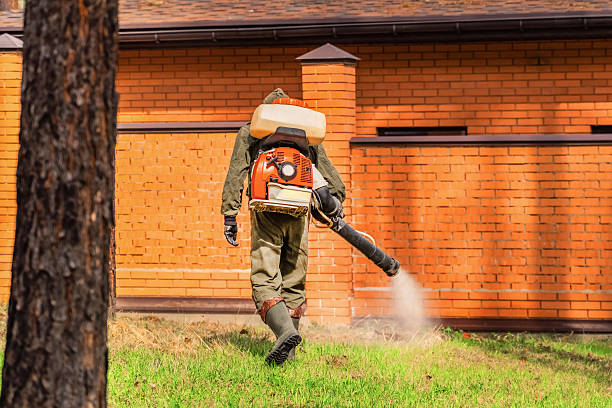 Trusted Termite Control service in Carnegie, PA - Nex Pest Control